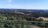 Tour Wandern Peyre en Aubrac - le rocher du Cher - Photo 8