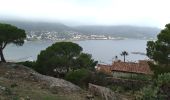 Tour Wandern el Port de la Selva - Port de la Selva Cadaqués  - Photo 3