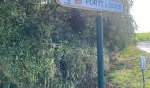 Trail Trail Port-Louis - Anse Bertrand massious porte d’enfer - Photo 2