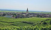 Excursión Senderismo Kaysersberg-Vignoble - Du ⛺️ aux 4 villages - Photo 9