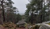 Tour Wandern Fontainebleau - Belle Croix  - Photo 6