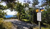 Trail Walking Mirabel-et-Blacons - Chapelle Saint-Christophe - Charsac - Photo 15