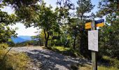 Tour Wandern Mirabel-et-Blacons - Chapelle Saint-Christophe - Charsac - Photo 15