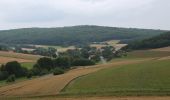 Percorso A piedi Gladenbach - Wollenbergweg - Photo 8