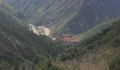 Trail Walking Marie - marie col de serena par la piste et retour sentier - Photo 4