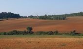 Tocht Stappen Monteriggioni - Monteriggioni  /  Sienne - Photo 7