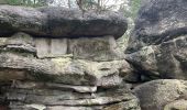 Excursión Senderismo Arbonne-la-Forêt - Forêt de Fontainebleau Tour de la Vierge et Le Hurlevent - Photo 10