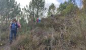 Excursión Senderismo Milly-la-Forêt - Les rochers aux voleurs - Photo 1