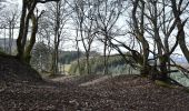 Trail On foot Hallenberg - Hallenberger Wanderrausch - Photo 4