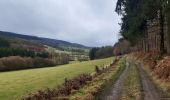 Trail Walking Stavelot - Francorchamps roannay rive gauche - Ruy retour rive droite - Photo 6