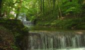 Tour Zu Fuß Küsnacht - Schübelweiher - Zumikon - Photo 9