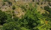 Trail Walking Stosswihr - le sentier des roches  - Photo 10