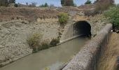 Trail Road bike Saint-Nazaire-d'Aude - Canal du midi étape 4 - Photo 6