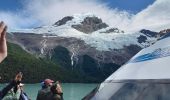 Tocht Motorboot Unknown - Sortie Bateau Patagonie 5 Glacier Spegazzini - Photo 5