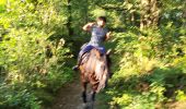 Trail Horseback riding Grâce-Hollogne - aviateur  - Photo 2