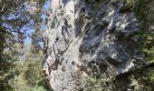 Tocht Stappen Cabasse - Trou des fées,Notre Dame du Glaive et le Dolmen de la Gastée - Photo 18