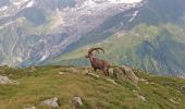 Randonnée Marche Vallorcine - MASSIF DES AIGUILLES ROUGES: LE LAC BLANC DEPUIS LE COL DES MONTETS - Photo 19