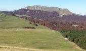 Tocht Stappen Omblèze - Plateau d'Ambel (le tour) - Photo 10