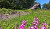 Trail On foot Unknown - Turvei A3 - Photo 7