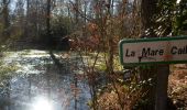 Trail Walking Louviers - 20220226-Louviers  - Photo 3
