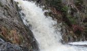 Randonnée Marche Malmedy - Cascade de Bayehon  - Photo 6