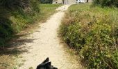 Trail Walking Plouharnel - Ste Barbe 08/07/2020 . - Photo 2