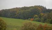 Tour Wandern Bastnach - RB-Lu-27_Lutrebois_Boucle-1 - Photo 2