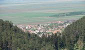 Tocht Te voet Unknown - Săcele - Valea Gârcin - Cabana Piatra Mare - Photo 4