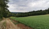 Trail Walking Bouillon - Curfoz- moulin de l'épine-Curfoz - Photo 1