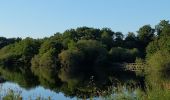 Tour Wandern La Roche-sur-Yon - tour de la retenue de moulin papon - Photo 1