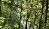 Trail Walking Chiny - Chiny le long de la Semois - Photo 13