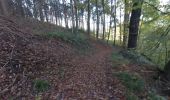 Tour Wandern Huy - 09-11-19 14:02:45 - Photo 3