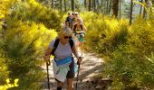 Trail Walking Castellane - Les cadières de Brandis - Photo 3