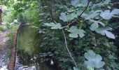 Tour Wandern Prévenchères - Gorges du Chassezac au départ de la Garde guérin  - Photo 7