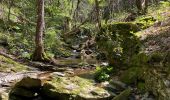 Tocht Stappen Aujac - Aujac Malons et Elze - Photo 4