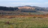 Tour Wandern Saint-Jean-des-Vignes - Saint-Jean-des-Vignes - De Saint-Jean à Pierre Folle - Photo 6