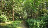Randonnée Marche Choisy-au-Bac - en forêt de Laigue_9_06_2020_Chemin du Fau Bidaud et la Route de Royaumont - Photo 7