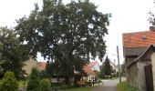 Tour Zu Fuß Wetterzeube - Rundweg Breitenbacher Forst - Photo 4