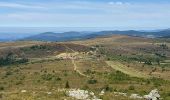 Trail Walking Saint-Pierre-la-Bourlhonne - Col du Beal  - Photo 1