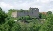 Percorso A piedi Bietigheim-Bissingen - DE-SAV Blauer Balken, von-nach? - Photo 4