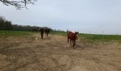 Trail Walking Froidchapelle - Barrage de l'eau d'heure  - Photo 10