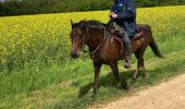 Trail Horseback riding Favières - Favieres mai 2024 yoigo kaline  - Photo 4