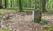 Percorso A piedi Hörselberg-Hainich - Craulaer Kreuz - Photo 4