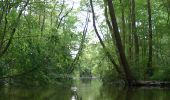 Tour Zu Fuß Plön - Behler See - Photo 2