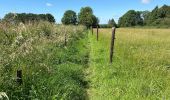 Trail Walking Honnelles - Fayt le Franc - Le Caillou qui bique 18km - Photo 12