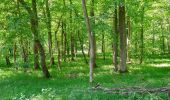 Tour Zu Fuß Höxter - Erlesene Natur - Zu Besuch im Paradies - Photo 6