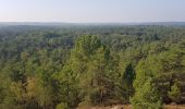 Tour Wandern Le Vaudoué - les 25 bosses fontainebkeau - Photo 1