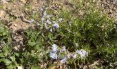 Trail Walking Cheval-Blanc - PF-Cheval-Blanc - La Roquette - Le Trou du Rat - MDu - Photo 17