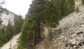 Trail Walking Romeyer - Col des Bachassons depuis Romeyer - Photo 20