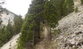 Tour Wandern Romeyer - Col des Bachassons depuis Romeyer - Photo 20